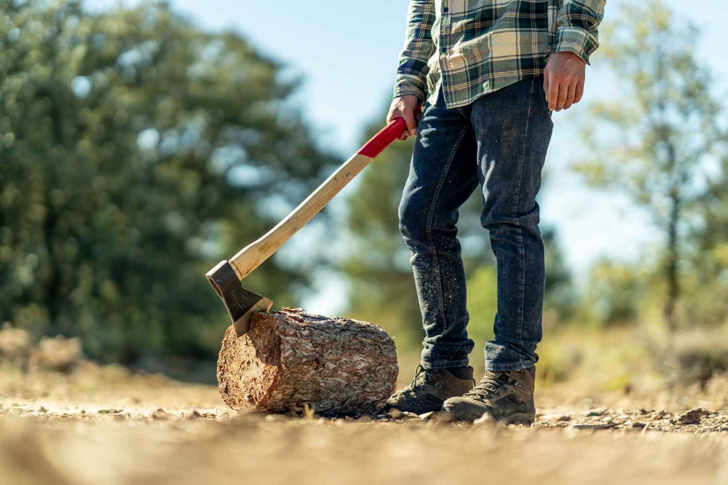 Hillside, IL Tree Service Company